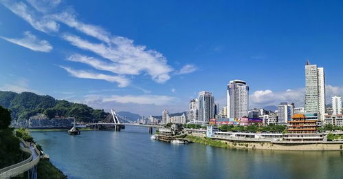 延平区闲置的办公楼要长草了