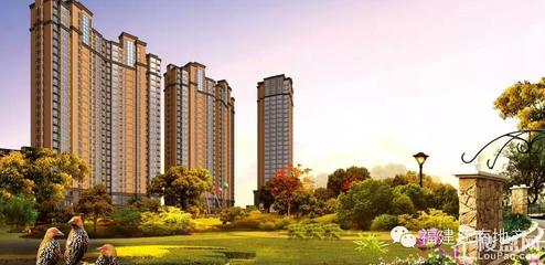 买房,就选南平江南中央金地-南平江南中央金地动态-南平楼盘网