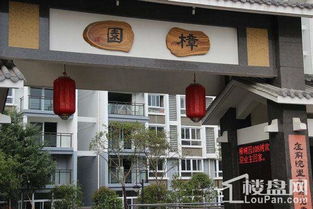 南平武夷山樟树园108树效果图 实景图 样板间 南平楼盘网