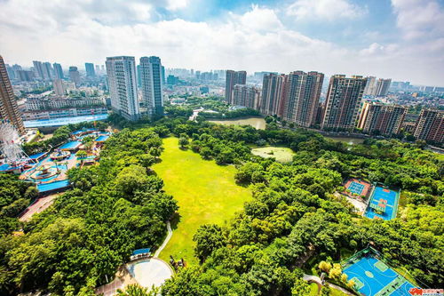 贵港与南平房地产新政对比分析