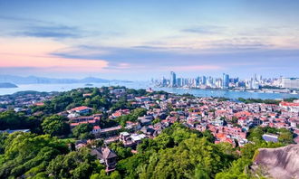 泰禾厦门湾一站式免费托管服务助力无忧置业