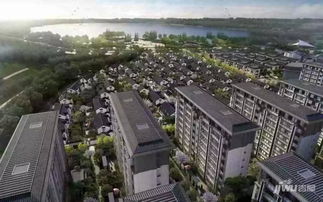 南平三迪溪山九境 云端上的江畔人居新境