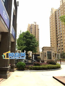 南平建阳碧全江誉 效果图与实景的匠心落地，样板间的真实体验