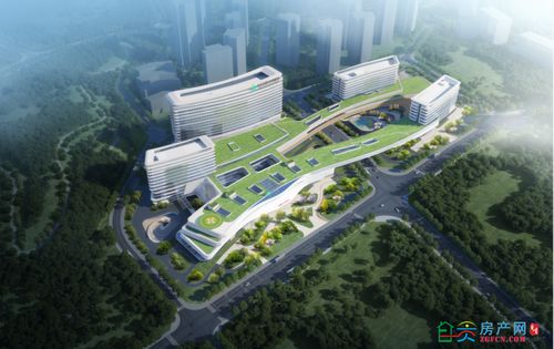 加速推进 自贡多个区域市级医疗卫生项目明确投用时间